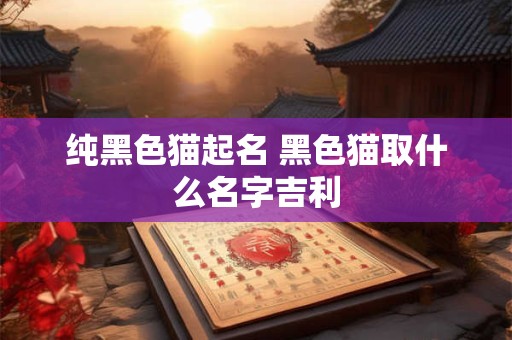 纯黑色猫起名 黑色猫取什么名字吉利