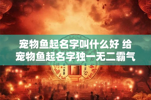 宠物鱼起名字叫什么好 给宠物鱼起名字独一无二霸气