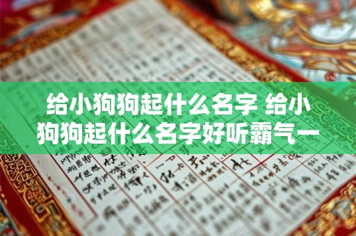 给小狗狗起什么名字 给小狗狗起什么名字好听霸气一点