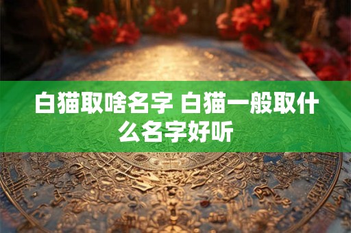 白猫取啥名字 白猫一般取什么名字好听