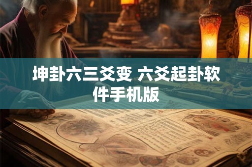 坤卦六三爻变 六爻起卦软件手机版