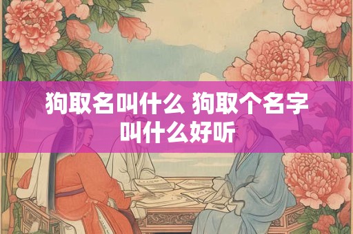 狗取名叫什么 狗取个名字叫什么好听
