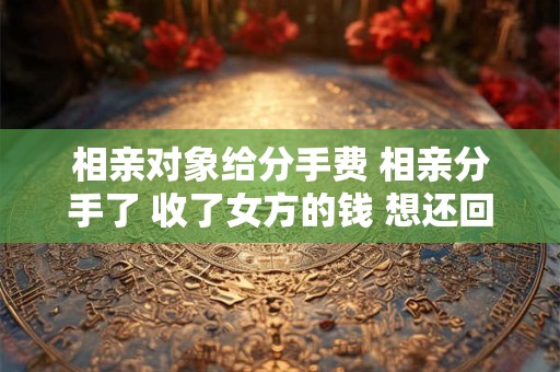 相亲对象给分手费 相亲分手了 收了女方的钱 想还回去可以么