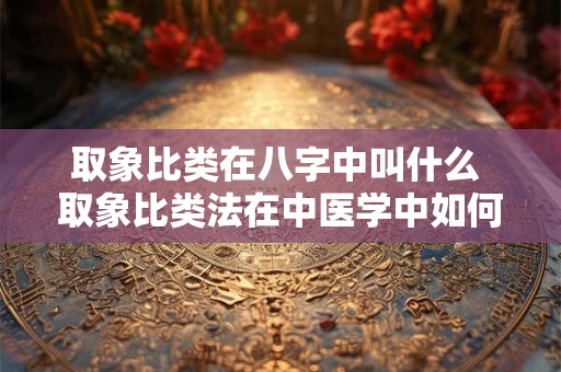 取象比类在八字中叫什么 取象比类法在中医学中如何应用
