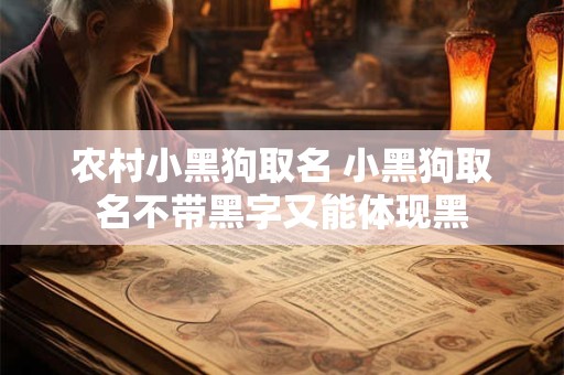 农村小黑狗取名 小黑狗取名不带黑字又能体现黑