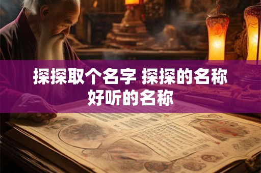 探探取个名字 探探的名称好听的名称