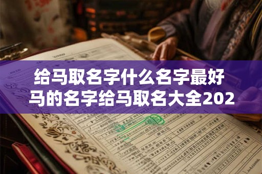 给马取名字什么名字最好 马的名字给马取名大全2025