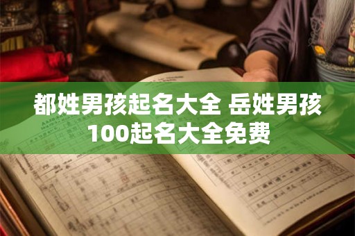 都姓男孩起名大全 岳姓男孩100起名大全免费
