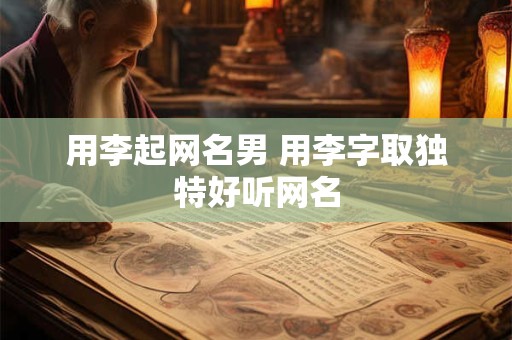 用李起网名男 用李字取独特好听网名