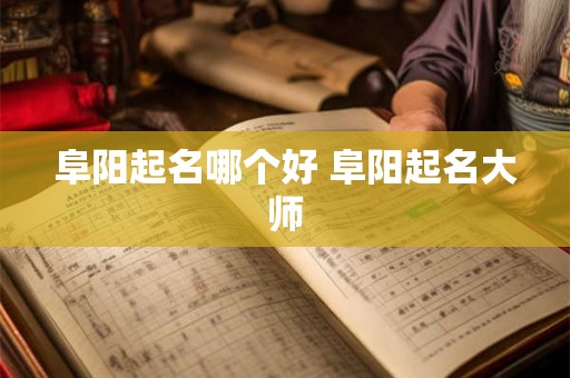 阜阳起名哪个好 阜阳起名大师