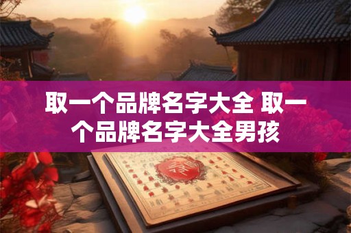 取一个品牌名字大全 取一个品牌名字大全男孩