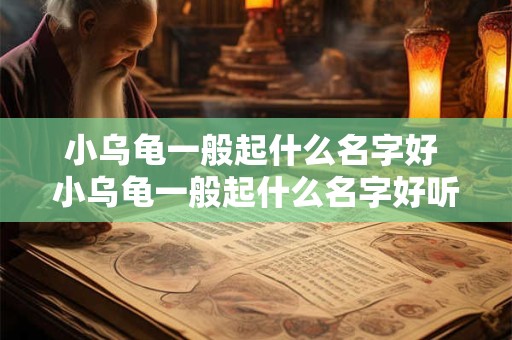 小乌龟一般起什么名字好 小乌龟一般起什么名字好听点