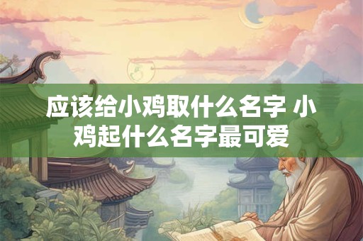 应该给小鸡取什么名字 小鸡起什么名字最可爱