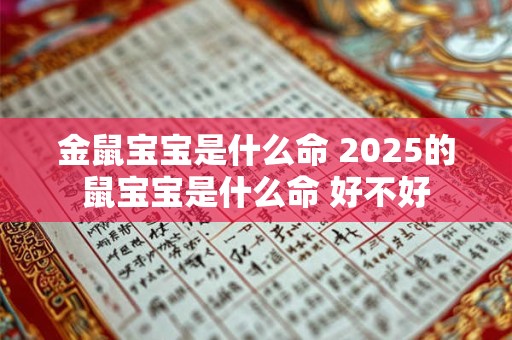 金鼠宝宝是什么命 2025的鼠宝宝是什么命 好不好