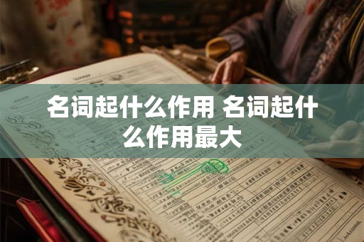 名词起什么作用 名词起什么作用最大