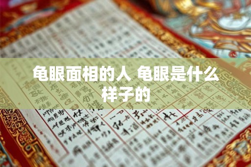 龟眼面相的人 龟眼是什么样子的
