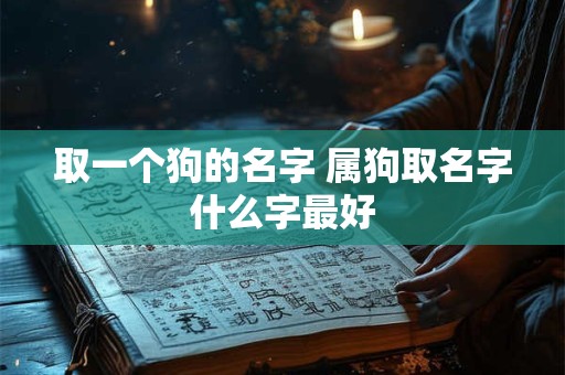 取一个狗的名字 属狗取名字什么字最好