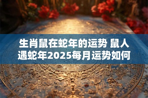 生肖鼠在蛇年的运势 鼠人遇蛇年2025每月运势如何