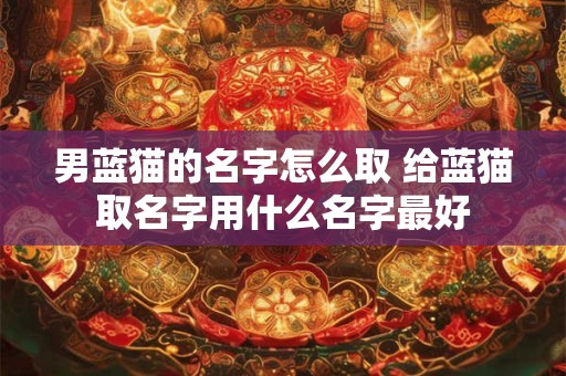 男蓝猫的名字怎么取 给蓝猫取名字用什么名字最好