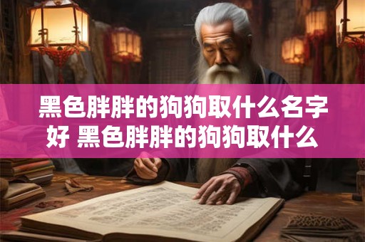 黑色胖胖的狗狗取什么名字好 黑色胖胖的狗狗取什么名字好母的