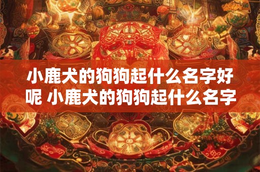 详细阅读:小鹿犬的狗狗起什么名字好呢 小鹿犬的狗狗起什么名字好呢男生 小鹿犬的狗狗起什么名字好呢 小鹿犬的狗狗起什么名字好呢男生