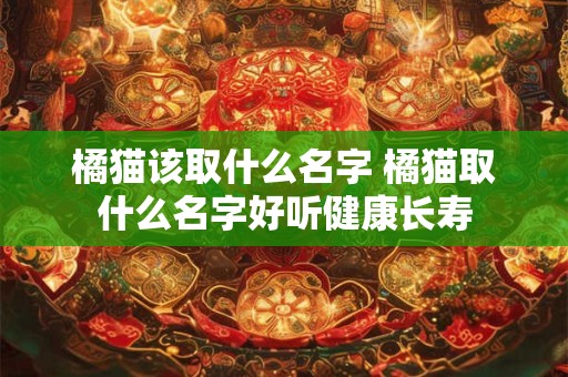 橘猫该取什么名字 橘猫取什么名字好听健康长寿