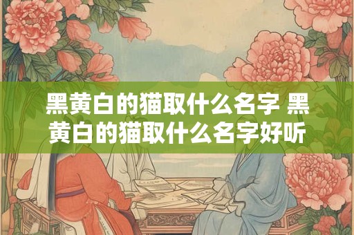 黑黄白的猫取什么名字 黑黄白的猫取什么名字好听