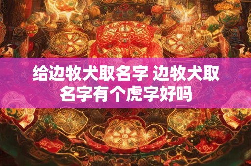 给边牧犬取名字 边牧犬取名字有个虎字好吗