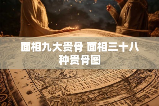 面相九大贵骨 面相三十八种贵骨图
