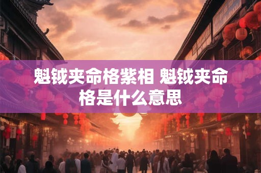 魁钺夹命格紫相 魁钺夹命格是什么意思 魁钺夹命格紫相 魁钺夹命格是什么意思