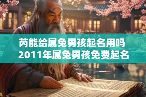 芮能给属兔男孩起名用吗 2011年属兔男孩免费起名