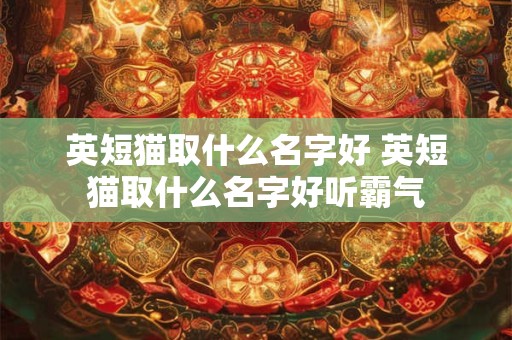 英短猫取什么名字好 英短猫取什么名字好听霸气
