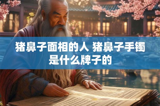 猪鼻子面相的人 猪鼻子手镯是什么牌子的