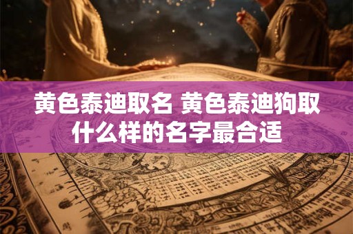 黄色泰迪取名 黄色泰迪狗取什么样的名字最合适