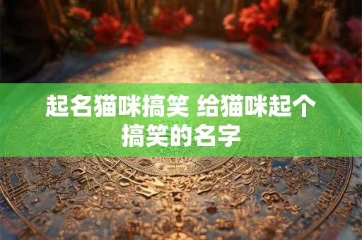 起名猫咪搞笑 给猫咪起个搞笑的名字 起名猫咪搞笑 给猫咪起个搞笑的名字