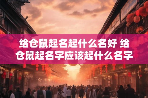 给仓鼠起名起什么名好 给仓鼠起名字应该起什么名字
