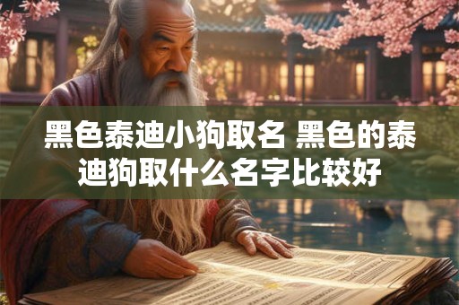 黑色泰迪小狗取名 黑色的泰迪狗取什么名字比较好