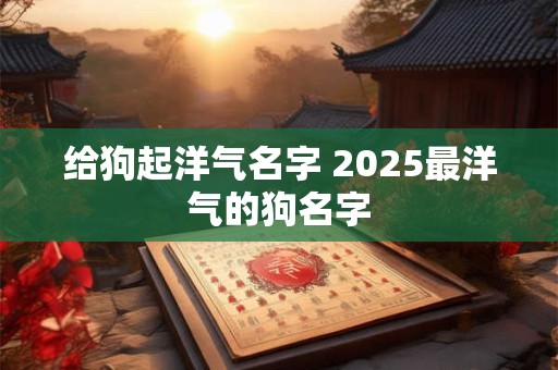 给狗起洋气名字 2025最洋气的狗名字