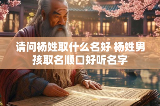 请问杨姓取什么名好 杨姓男孩取名顺口好听名字