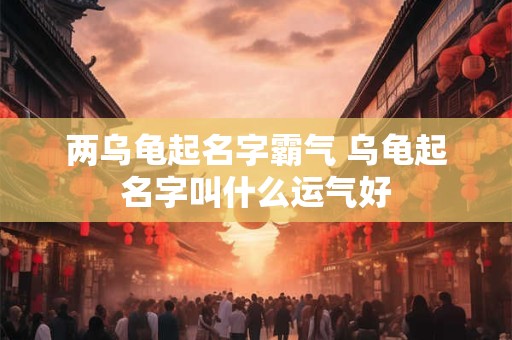 两乌龟起名字霸气 乌龟起名字叫什么运气好