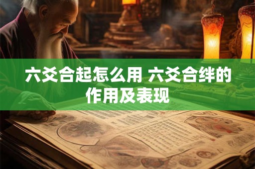 六爻合起怎么用 六爻合绊的作用及表现