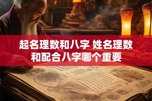 起名理数和八字 姓名理数和配合八字哪个重要