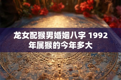 龙女配猴男婚姻八字 1992年属猴的今年多大