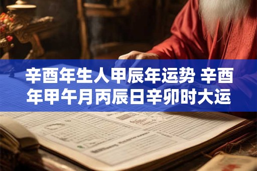 辛酉年生人甲辰年运势 辛酉年甲午月丙辰日辛卯时大运