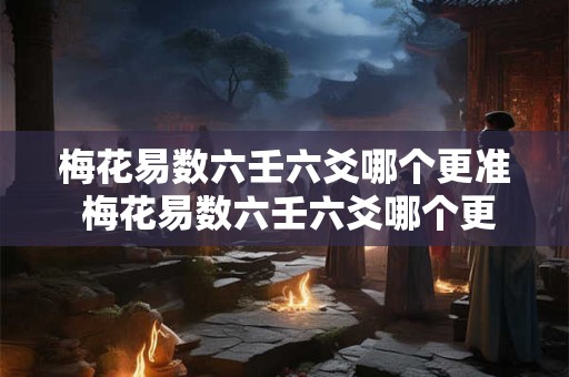 梅花易数六壬六爻哪个更准 梅花易数六壬六爻哪个更准一点