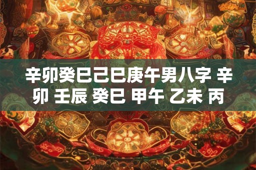 辛卯癸巳己巳庚午男八字 辛卯 壬辰 癸巳 甲午 乙未 丙申