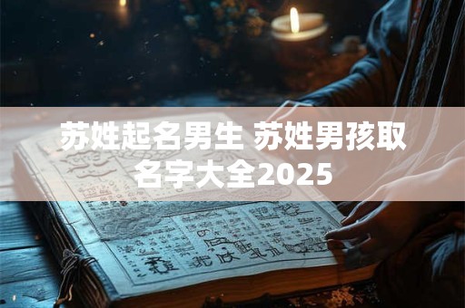 苏姓起名男生 苏姓男孩取名字大全2025
