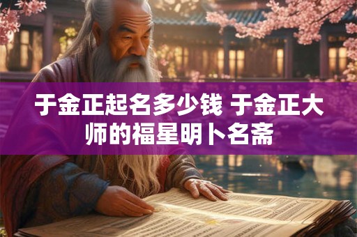 于金正起名多少钱 于金正大师的福星明卜名斋