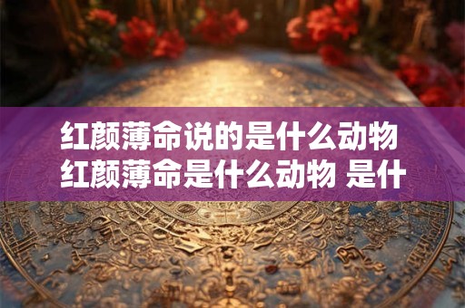 红颜薄命说的是什么动物 红颜薄命是什么动物 是什么生肖