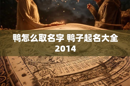 鸭怎么取名字 鸭子起名大全2014